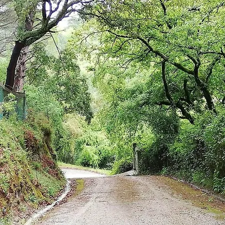 Fatima-ourem - Quinta Da Luz - Breakfast Included Villa