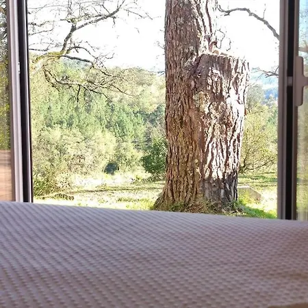 Fatima-ourem - Quinta Da Luz - Breakfast Included Villa Ourém