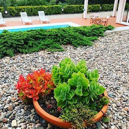 Fátima-ourém - Quinta Da Luz - Breakfast Included Ourém