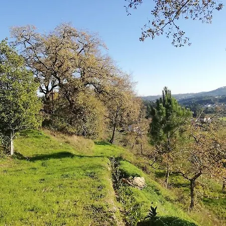 Fatima-ourem - Quinta Da Luz - Breakfast Included Willa *