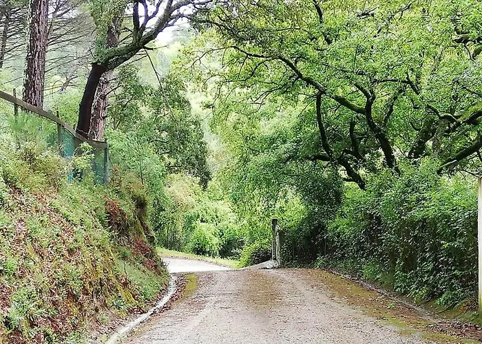 Fátima-ourém - Quinta Da Luz - Breakfast Included Villa