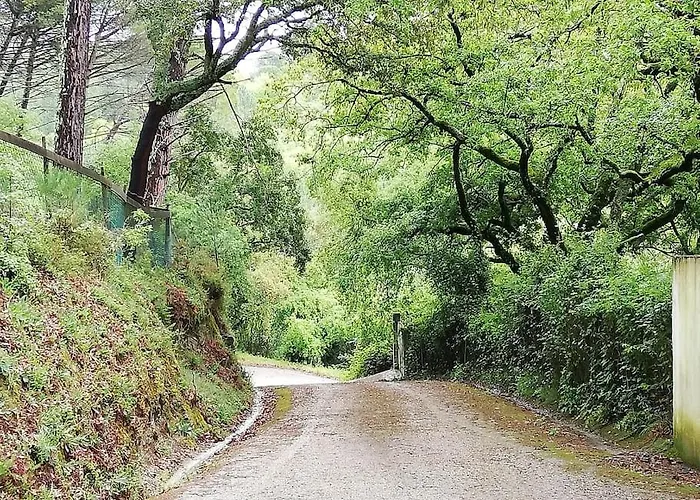 Villa Fátima-ourém - Quinta Da Luz - Breakfast Included