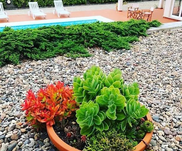 Fátima-ourém - Quinta Da Luz - Breakfast Included Ourém